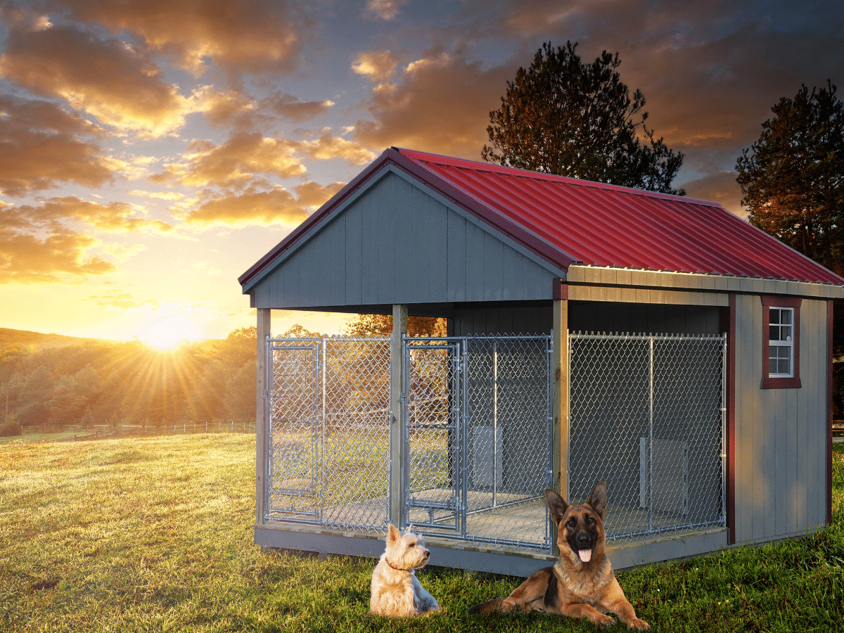 dog kennels for sale in va