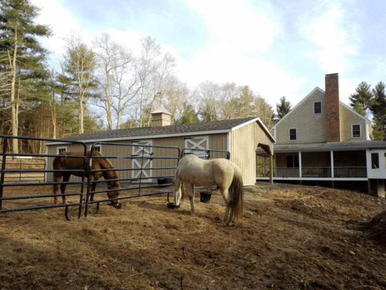 shed row horse barn for sale in va