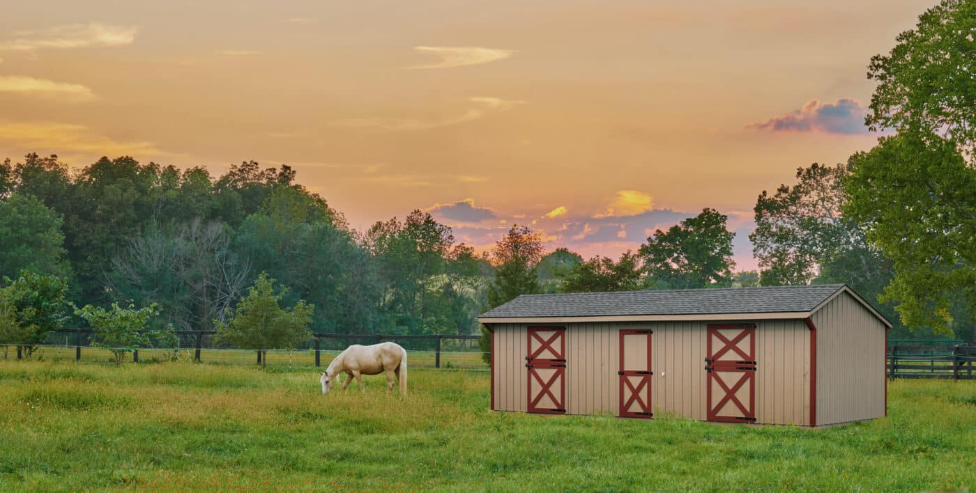 horse in field at sunset, kentucky