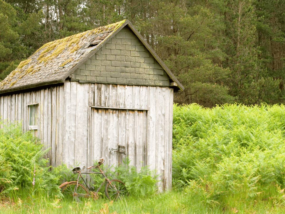 Repurpose an olf shed for your shed makeover ideas