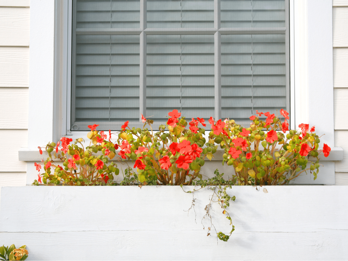 flower boxed added to a shed for enhanced makeover